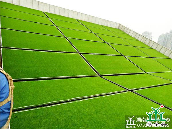 湘潭市博物館與規(guī)劃館，屋頂人造草皮綠化施工案例