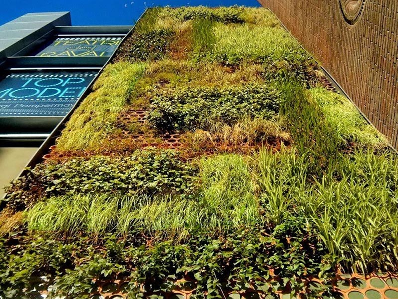 湖南草字頭生態(tài)環(huán)境建設有限公司,人造草坪假草皮,湖南雨水收集處理工藝